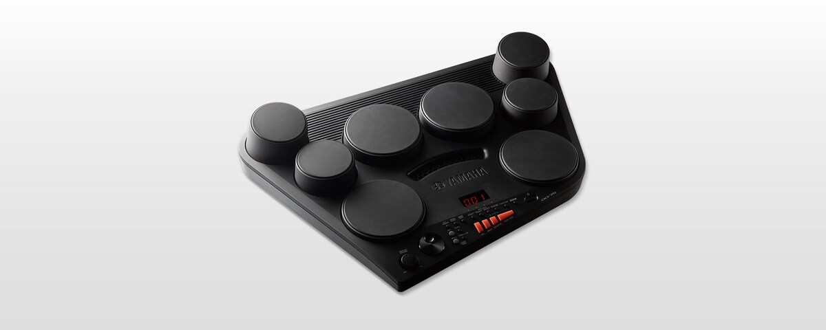 Electronic Entertainment Instruments